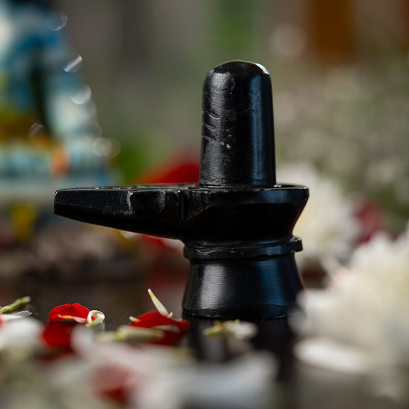 शिवलिंग - प्राण प्रतिष्ठित मूर्ति