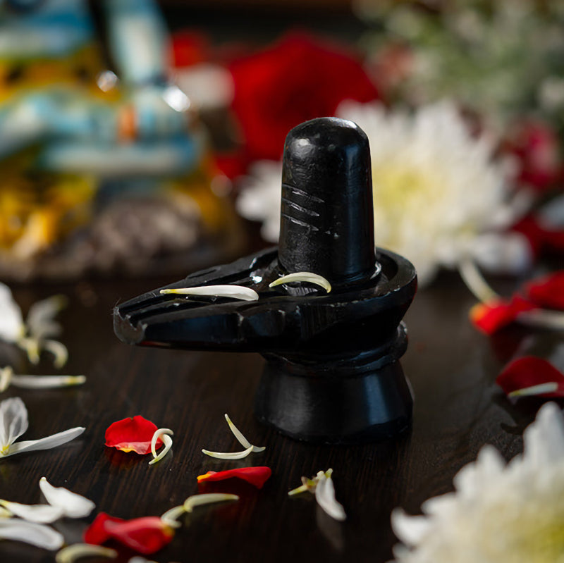 शिवलिंग - प्राण प्रतिष्ठित मूर्ति