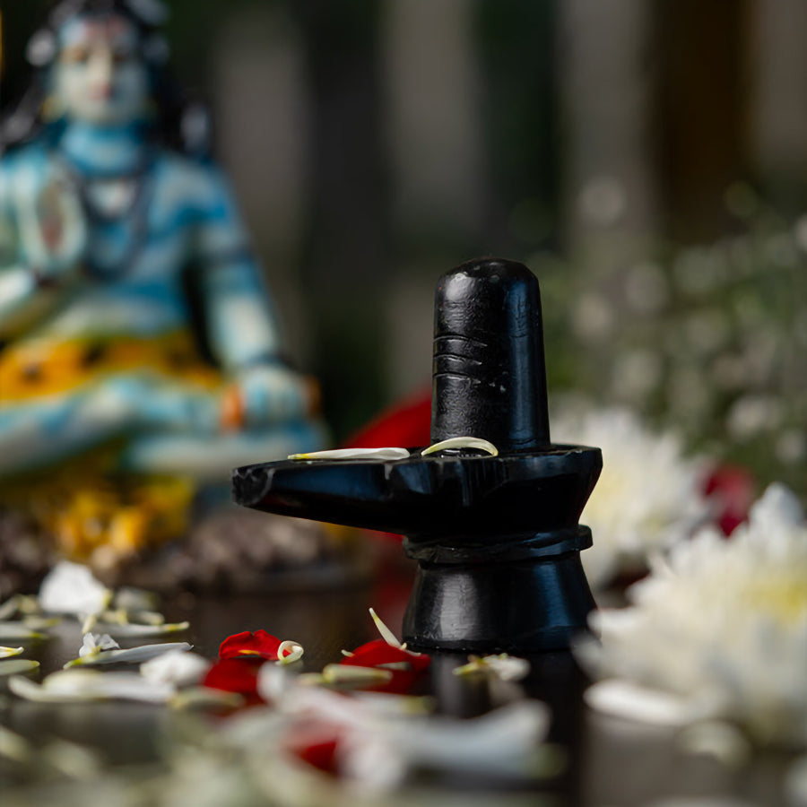 SHIVLING – PRANA PRATISHIT MURTI