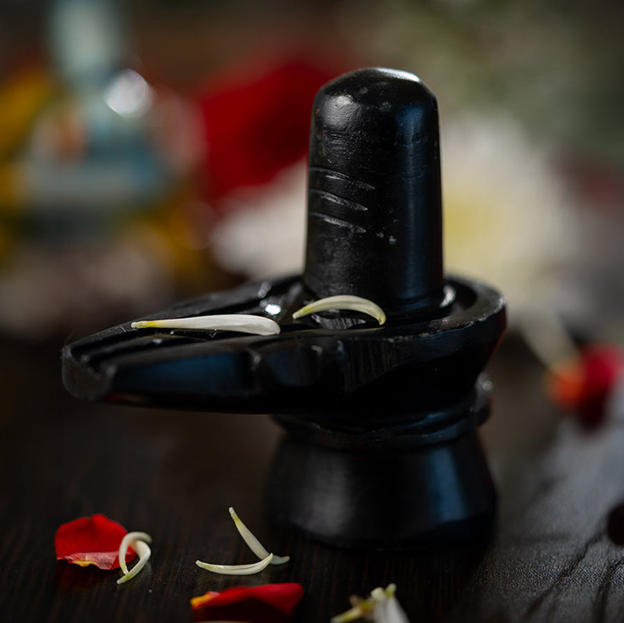 SHIVLING – PRANA PRATISHIT MURTI