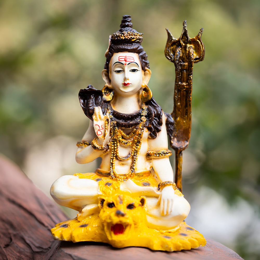 शिव जी - प्राण प्रतिष्ठित मूर्ति