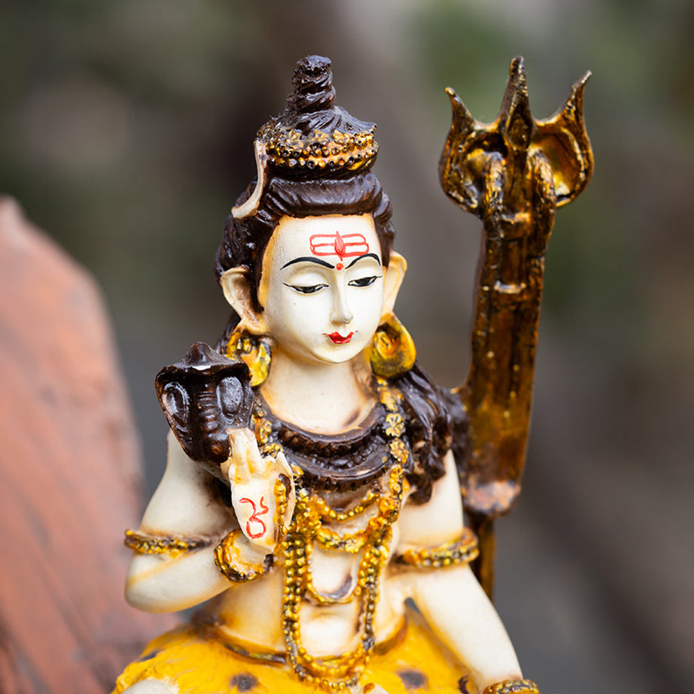 शिव जी - प्राण प्रतिष्ठित मूर्ति