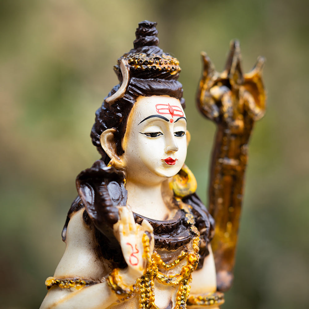 शिव जी - प्राण प्रतिष्ठित मूर्ति