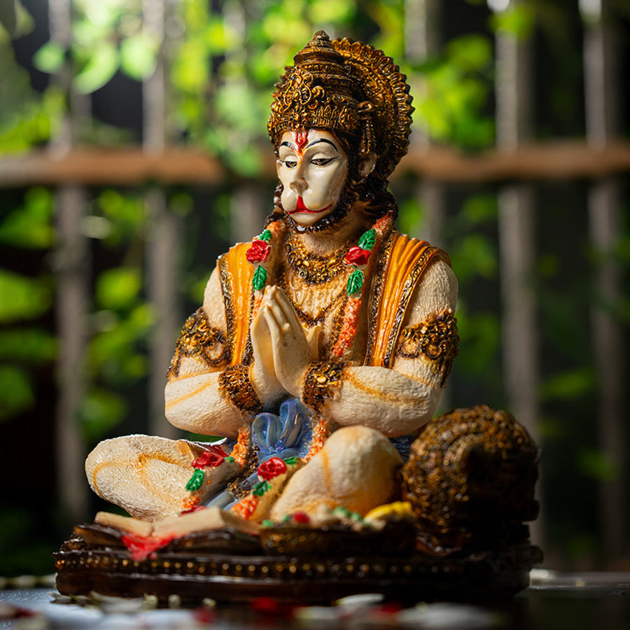 वीर बजरंगी – प्राण प्रतिष्ठित मूर्ति