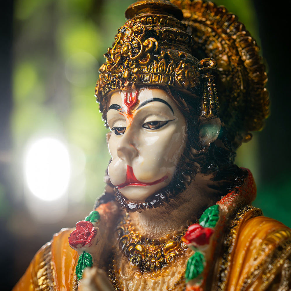 वीर बजरंगी – प्राण प्रतिष्ठित मूर्ति