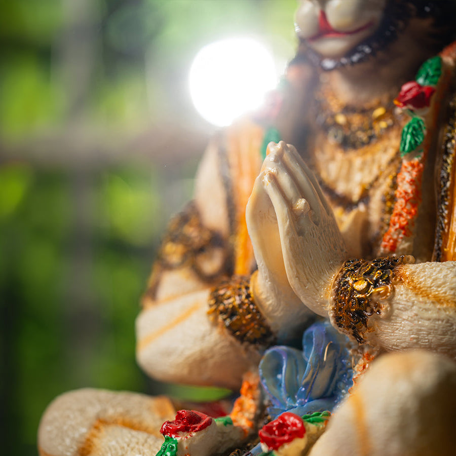 वीर बजरंगी – प्राण प्रतिष्ठित मूर्ति