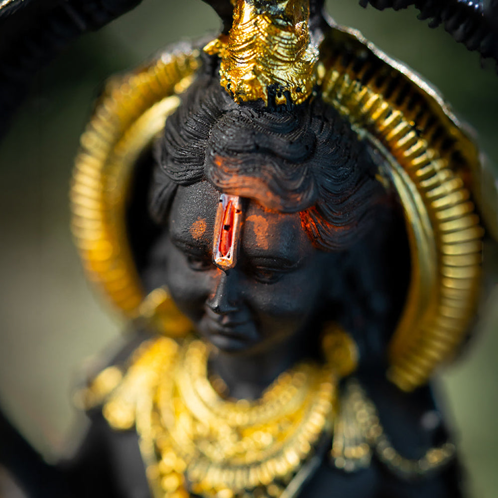 RAM JI – PRANA PRATISHTHIT MURTI
